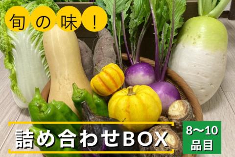 旬の味！お野菜 詰め合わせ BOX 8～10品目（栽培期間中 農薬・化学肥料不使用） 【めぐる農園】京都 亀岡 京野菜 農家より直送