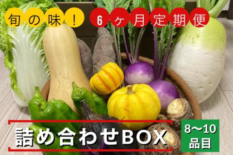 【6回定期便】旬の味！お野菜 詰め合わせBOX 8～10品目×6回（栽培期間中 農薬・化学肥料不使用） 【めぐる農園】京都 亀岡 京野菜 農家より直送