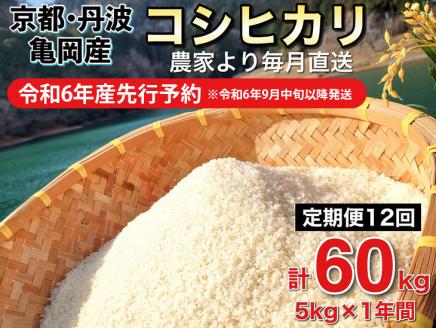 【令和6年産先行予約】米 定期便 5kg×12ヶ月 60kg コシヒカリ 佐伯の里の源流米 希少 令和6年産 新米 5キロ 12回 ※北海道・沖縄・離島の配送不可 ※2024年10月以降発送予定