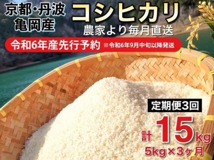 【令和6年産先行予約】米 定期便 5kg×2ヶ月 10kg コシヒカリ 佐伯の里の源流米 希少 令和6年産 新米 白米 5キロ 2回 ※北海道・沖縄・離島への配送不可 ※2024年10月以降発送予定