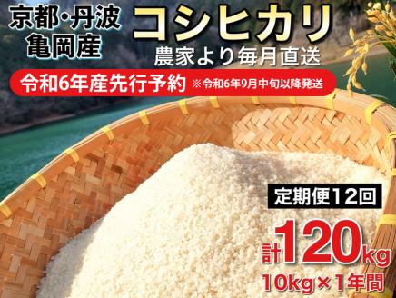 【令和6年産先行予約】【定期便 10kg×12ヶ月 120kg】 コシヒカリ 佐伯の里の源流米 農家直送 新米  ※北海道・沖縄・離島配送不可 ※2024年10月以降発送予定