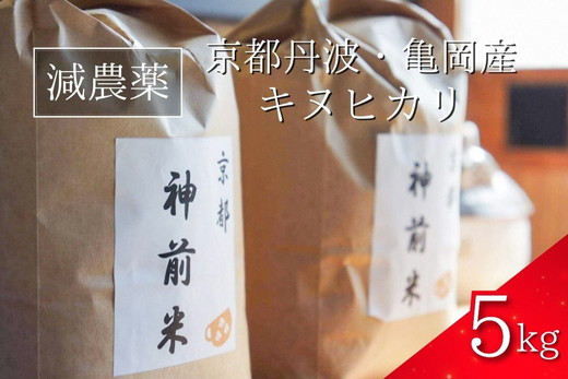 【令和7年産】新米 先行予約 5kg 京都・神前米 キヌヒカリ ☆精米したてをお届け ※2025年9月下旬以降順次発送 ≪減農薬 自家栽培米 生産農家 直送 白米 米 精米 クリーン白米≫