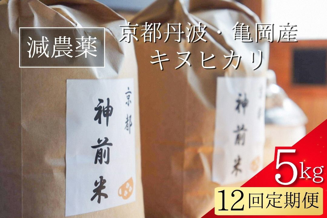 【令和7年産】新米 先行予約 5kg ×12回 京都・神前米 キヌヒカリ 5kg×12ヶ月 計60kg ☆精米したてをお届け ※2025年9月下旬以降順次発送 ≪減農薬 自家栽培米 生産農家 直送 米 精米 クリーン白米≫