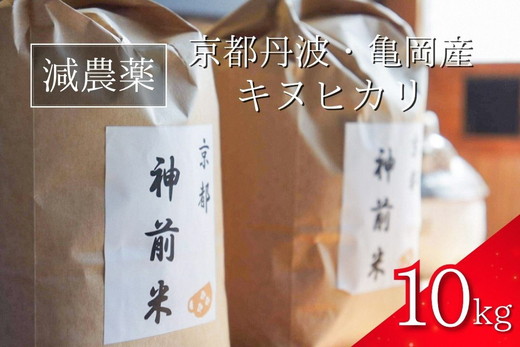 【令和7年産】新米 先行予約 10kg 京都・神前米 キヌヒカリ ☆精米したてをお届け ※2025年9月下旬以降順次発送 ≪減農薬 自家栽培米 生産農家 直送 白米 米 精米 クリーン白米≫