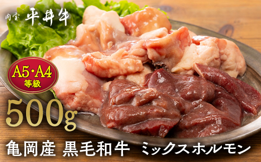 【7営業日以内発送】平井牛 ミックスホルモン 500g＜京都丹波牧場＞亀岡産黒毛和牛 自家産 ｜ レバー・ハツ・小腸・大腸・赤セン・センマイ・ギアラ 希少 A5・A4 和牛 国産 ホルモン 冷凍 ふるさと納税 送料無料