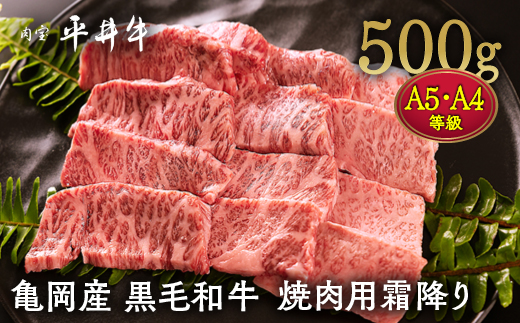 【7営業日以内発送】数々の誉れに輝く最高峰 黒毛和牛「平井牛」A5・A4 焼肉用 霜降り 500g 京都 丹波牧場 自家産≪三角バラ・トモバラ・カルビ・カイノミ・ミスジ 希少 和牛 京都肉 冷凍 真空 BBQ キャンプ≫