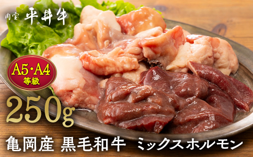 【7営業日以内発送】平井牛 ミックスホルモン 250g＜京都丹波牧場＞亀岡産黒毛和牛 自家産 ｜ ホルモン・レバー・ハツ・小腸・大腸・赤セン・センマイ・ギアラ 希少 A5・A4 和牛 国産 ホルモン 冷凍 送料無料