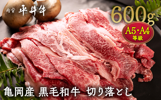 【7営業日以内発送】平井牛 A5・A4 切り落とし 600g＜京都丹波牧場＞亀岡産黒毛和牛◇ ｜ 希少 和牛 冷凍 真空 スライス すき焼き しゃぶしゃぶ 焼肉 牛肉 送料無料