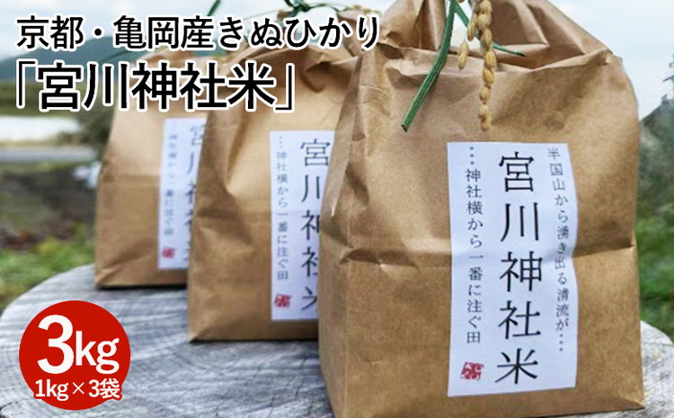 京都・亀岡産きぬひかり「宮川神社米」3kg(1kg×3袋) 米 令和7年産 ※北海道・沖縄・離島への配送不可