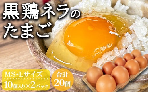 たかはし農園の放し飼い 黒鶏 ネラのたまご 10個×2 計20個 《京都 丹波産 放し飼い 希少 自然卵 平飼い 卵 有精卵 贈り物 ギフト 産地直送 健康食品 贈答》