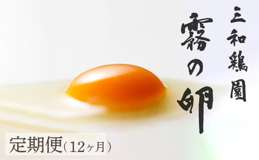【12回定期便】新鮮 卵 120個（100個+卵割れ保証20個）(10個×12パック)京都丹波『霧の卵』三和鶏園 ≪たまご タマゴ 玉子 生卵 鶏卵 小分け 贈答 ギフト ふるさと納税 卵 直送 冷蔵 朝食 料理 人気≫ ※北海道・沖縄・離島への配送不可