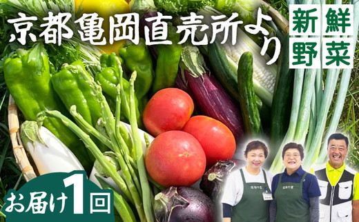 《価格改定》新鮮 旬の野菜セット 7～10品目 京都 佐伯の里 京都丹波・亀岡産 季節の野菜詰め合わせ 朝採れ 直送 訳あり 家計応援 生活応援 お試し《価格改定10000円→8000円》 ※北海道・沖縄・離島への配送不可