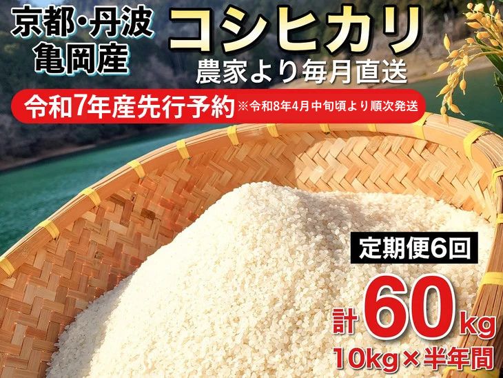 【令和7年産 新米 先行予約】米 定期便 10kg×6ヶ月 60kg コシヒカリ 佐伯の里の源流米 希少 農家直送 令和7年産 新米 白米 10キロ 6回 低農薬米 減農薬米 京都丹波産 こしひかり 家計応援 生活応援 ※北海道・沖縄・離島配送不可 ※2026年4月中旬頃より順次発送予定