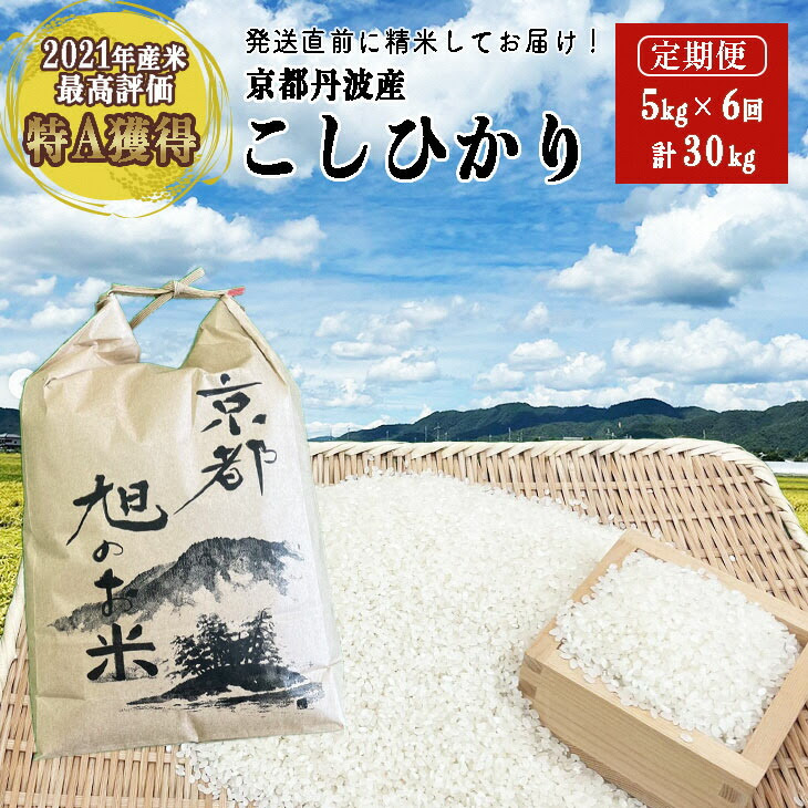 令和7年産 コシヒカリ 先行予約 米 定期便 5kg 6回 計30kg丹波 亀岡産 「京都 旭のお米」なごみの里あさひ 米 新米 白米 精米 ※北海道・沖縄・離島へのお届け不可※2026年3月上旬以降に順次発送