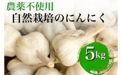 【2026年産 予約】にんにく 5kg 京都府・亀岡産 自然栽培のかたもとオーガニックファームよりお届け ※離島への発送不可 ※2026年6月下旬～10月下旬頃に順次発送予定