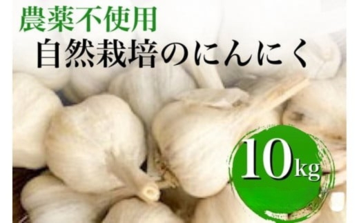 【2026年産 予約】にんにく 10kg 京都府・亀岡産 自然栽培のかたもとオーガニックファームよりお届け ※離島への発送不可 ※2026年6月下旬～10月下旬頃に順次発送予定