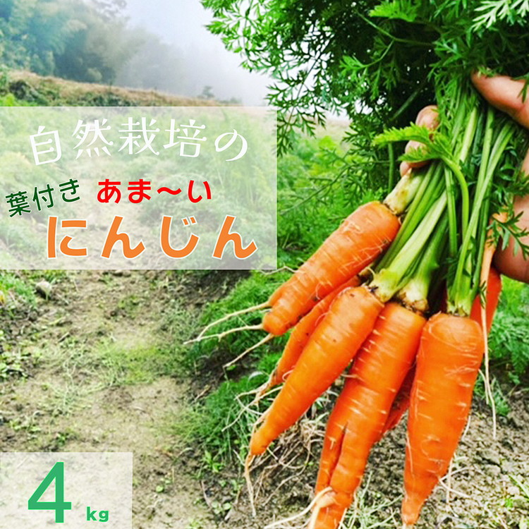 人参 4kg【期間限定】自然栽培の甘い 葉付き人参 京都府・亀岡産 かたもとオーガニックファームよりお届け 《訳あり サイズ不揃い にんじん 国産 京都産 栽培期間中農薬不使用 産地直送》 ※2025年12月から順次発送 ※離島への発送不可