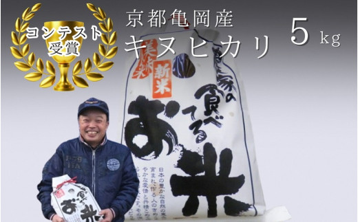 令和7年産 キヌヒカリ 5kg 【京都丹波米おいしいお米コンテスト】入賞（最優秀賞） ｜ 米 コメ 白米 京都 丹波 きぬひかり 数量限定 ※2025年10月以降に順次発送予定