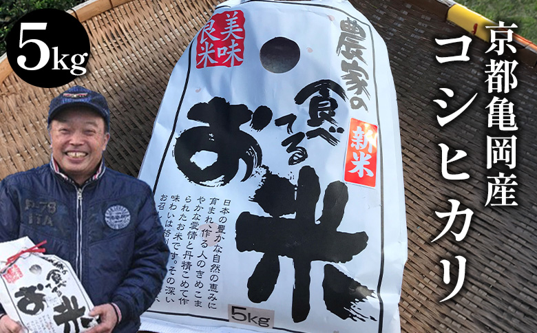 令和7年産 コシヒカリ 5kg ≪米 コメ 白米 京都 丹波 こしひかり 数量限定≫ ※2025年10月以降に順次発送予定
