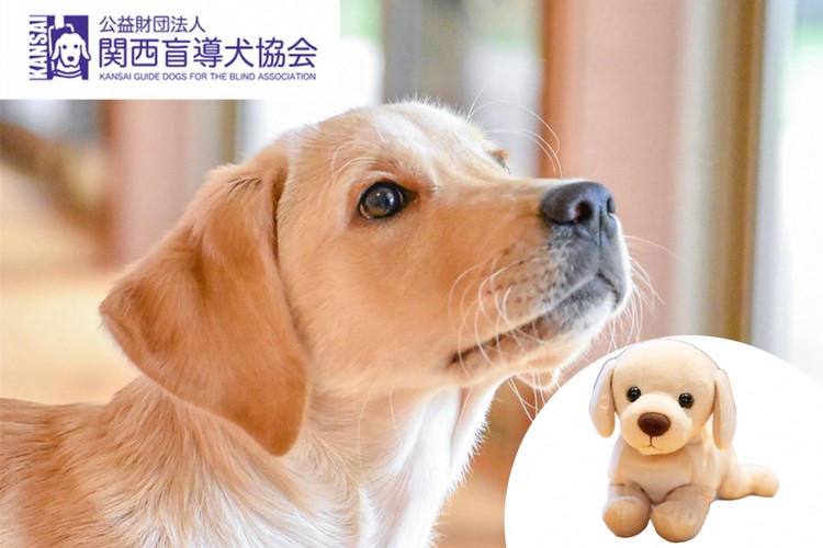 【返礼品相当額で盲導犬の育成を支援】支援額15,000円(記念品あり)エコバッグなど盲導犬協会オリジナルグッズ進呈[行きたい場所に安心していける社会に…]