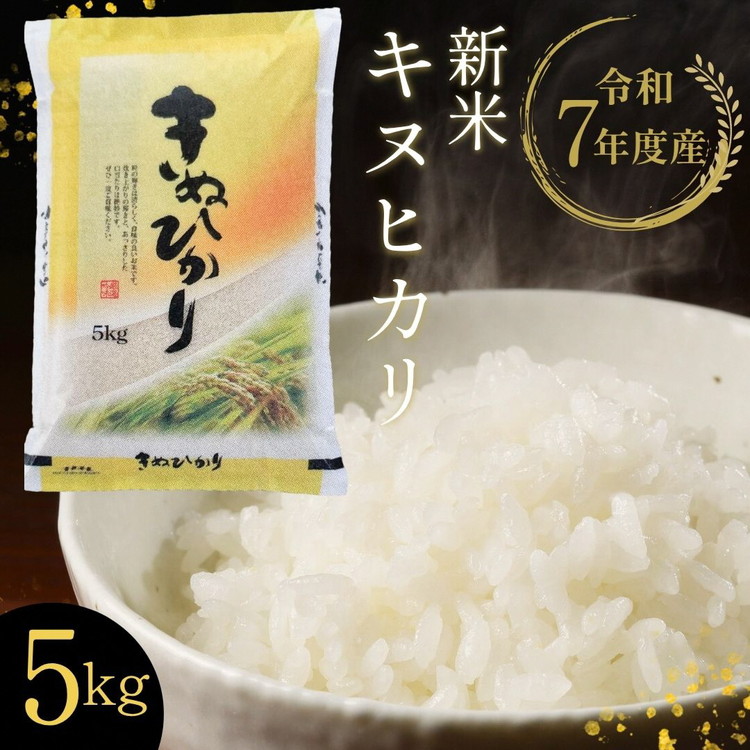 【12月末まで】【令和7年産 新米】京都丹波・亀岡産 キヌヒカリ 5kg 米 白米 ※精米したてをお届け《契約栽培米 米・食味鑑定士厳選 きぬひかり 京都丹波産 数量限定 訳あり 簡易包装》※北海道・沖縄・離島への配送不可