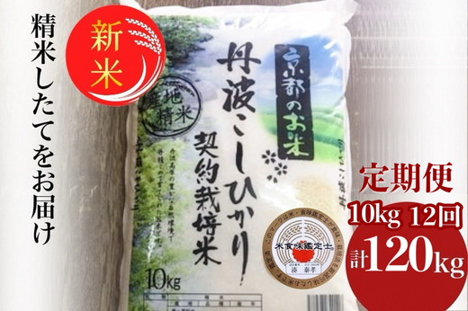【12月末まで】【毎月1回お届け】【定期便】令和7年産 新米 京都丹波米 こしひかり10kg×12回 計120kg 米 12ヶ月 白米 12回定期便 ※精米したてをお届け コシヒカリ ※北海道・沖縄・離島への配送不可