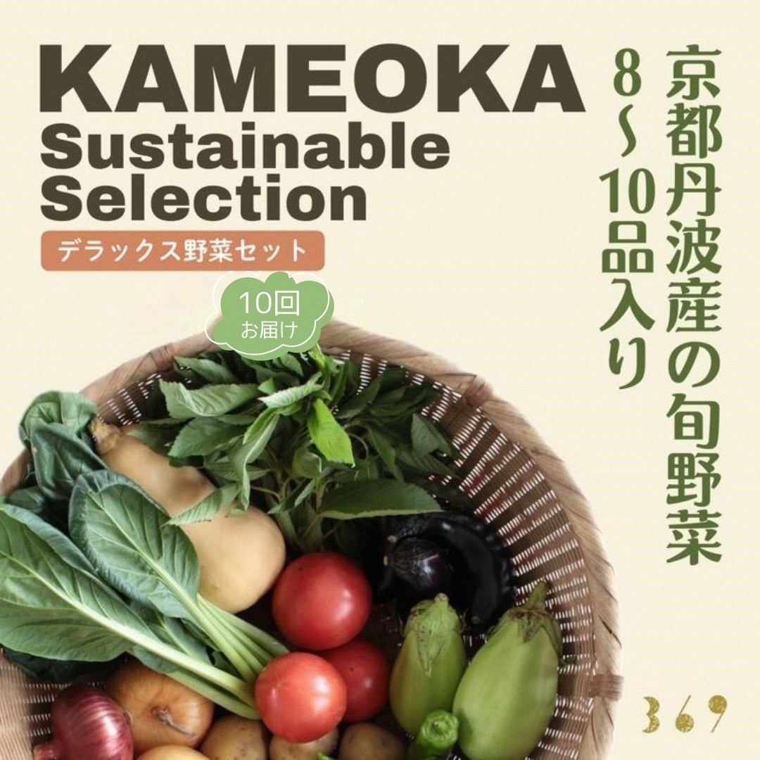 【10回定期便】＜３６９商店＞京都丹波産旬の野菜セットデラックス！平飼い卵10個、季節の果物又は加工品　※栽培期間中農薬・化学肥料不使用※ 野菜 定期便 10回 卵 ※北海道・沖縄・離島への配送不可