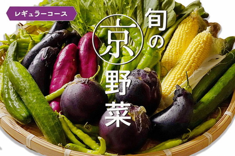 旬の京野菜　レギュラーコース≪京都 丹波 野菜 ふるさと納税野菜≫※沖縄・離島・諸島へのお届け不可