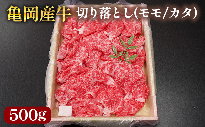 【銀閣寺大西】亀岡産牛 国産黒毛和牛 切り落とし(モモ/カタ)500g 牛肉 冷凍 保存 炒め物 牛丼 肉じゃが カレー キャンプ 送料無料 京都 老舗 厳選 京都府産 人気 おすすめ グルメ 国産牛