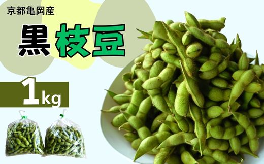 令和7年産 京都亀岡産 黒枝豆 1kg 期間限定 大粒 黒豆 お取り寄せ おつまみ えだまめ 冷蔵でお届け ※2025年9月中旬～10月下旬頃に順次発送予定 ※北海道・沖縄・離島への配送不可