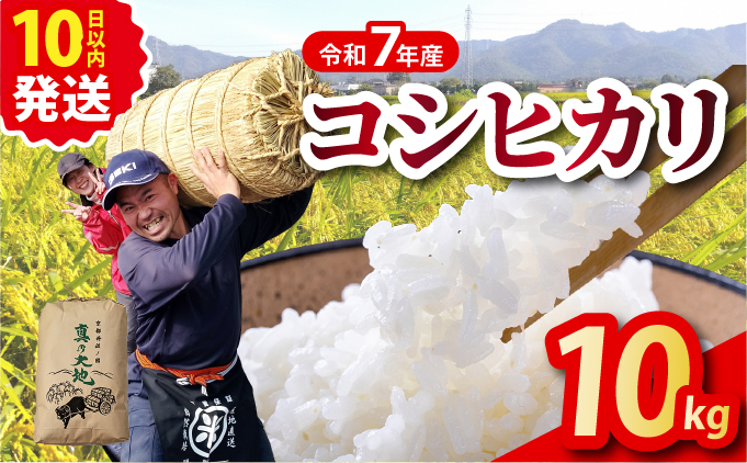 令和7年産 コシヒカリ 10kg 京都丹波産 農家直送 産地直送 スピード配送【～3月31日まで】※北海道･沖縄･離島への配送不可
