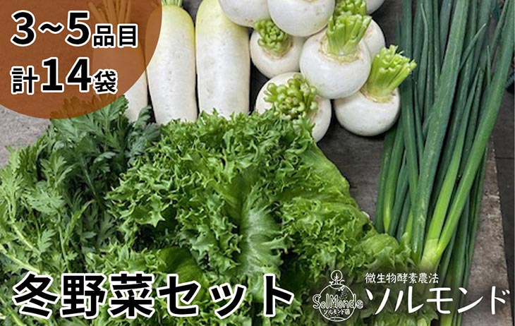ソルモンドの 冬野菜セット！3～5品 14袋◇ ＜野菜 野菜セット 野菜詰め合わせ 旬野菜 国産 京都 減農薬 ふるさと納税野菜＞ ※北海道・沖縄・離島への配送不可