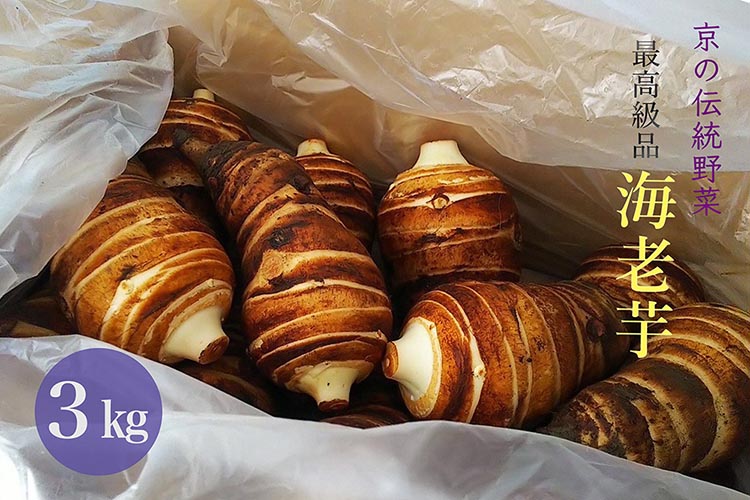 京の伝統野菜 海老芋 3kg＜京都・亀岡 ほまれfarm＞ ｜ えび芋 京野菜 いも 芋 高級 最高級 やわらかい 煮物 おせち 正月 京料理 高級里芋 ※2025年11月上旬～2026年2月下旬頃に順次発送予定