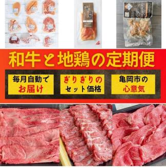 [6回定期便][京都亀岡丹波山本]和牛と地鶏 毎月交互にお届け[訳あり]京の肉&地鶏丹波黒どり・丹波赤どり お楽しみセット≪生活応援 緊急支援 特別返礼品 不揃い≫◇