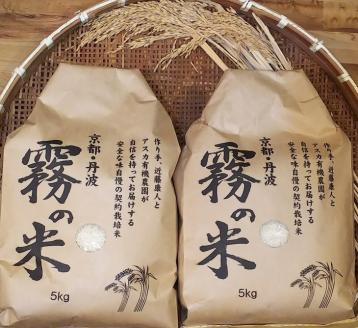 亀岡盆地『霧の米』 白米 5kg×2袋 計10kg[アスカ有機農園][令和6年産 特別栽培米 コシヒカリ 米]2024年10月以降順次発送予定京都丹波産 特A