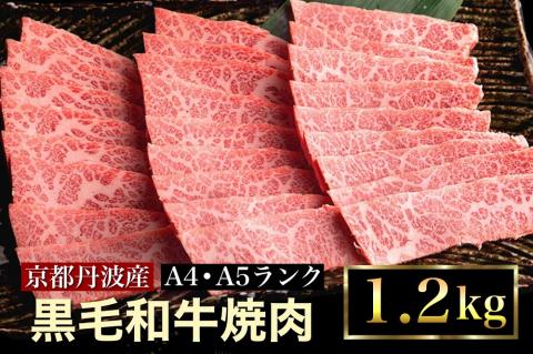 返礼品検索亀岡市 肉ANAのふるさと納税