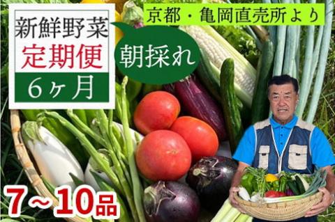 訳あり[6回野菜定期便]朝採れ野菜 京都丹波 直売所直送 7〜10品目 亀岡 佐伯の里 生活応援 家計応援※北海道・沖縄・離島への配送不可?