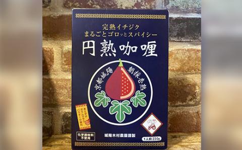 京都府城陽産　イチジクが丸ごと入った　スパイシーなカレー　5箱×1セット