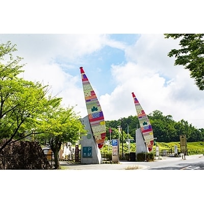 ロゴスランド限定ご利用券　3000円×1枚　BBQやキャンプ体験が楽しめる宿泊施設　89993003