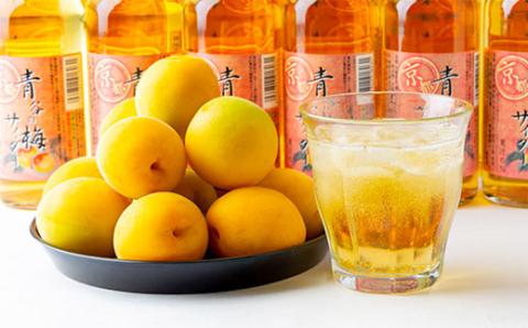 青谷の梅サイダー250ml　