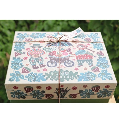 【うちだ農園coucou!】ギフトボックス おすすめドライフルーツ4袋セット