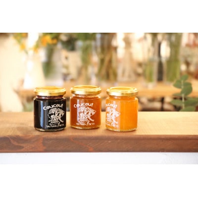 【うちだ農園coucou!】ギフトボックス  城陽の恵み無添加ジャム3個セット
