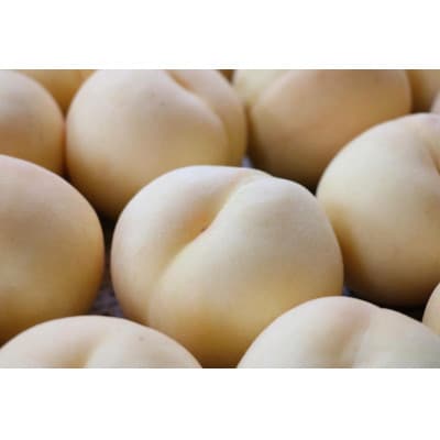 【うちだ農園coucou!】城陽特産たっぷり!無添加ジャムセット