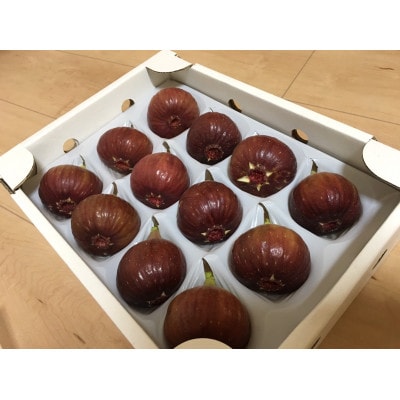 【2026年8月から10月発送先行予約】京都城陽 森秀吉農園の朝採り完熟いちじく【配送不可地域：離島・北海道・沖縄県】