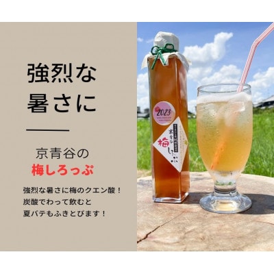 炭酸水や、カクテルで楽しめる梅の味【京青谷の梅しろっぷ】200ml