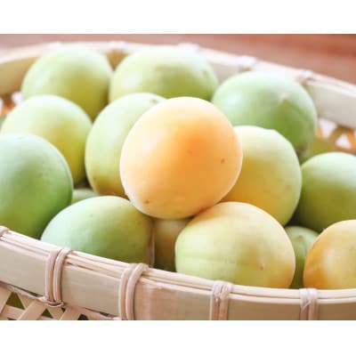 セミドライ城州白梅 2袋セット