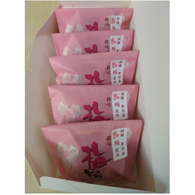 梅どら　5個入り×1箱【配送不可地域：離島・沖縄県】