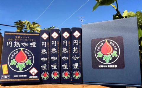 京都府城陽産　イチジクが丸ごと入った　スパイシーなカレー　5箱×1セット