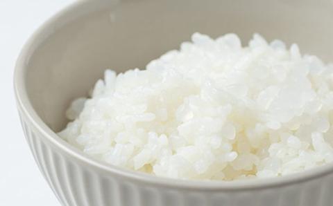 【ライスコンニャク】24袋セット 低カロリーでお米のような食感、ヘルシー志向・ダイエットの心強い味方