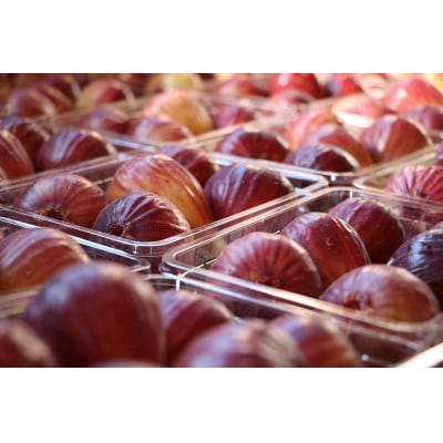 【うちだ農園coucou!】城陽特産たっぷり!無添加ジャムセット